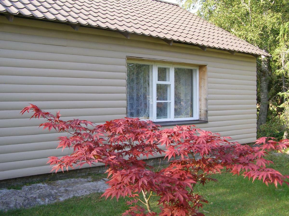 Kipi-Koovi Holiday Centre Экстерьер фото